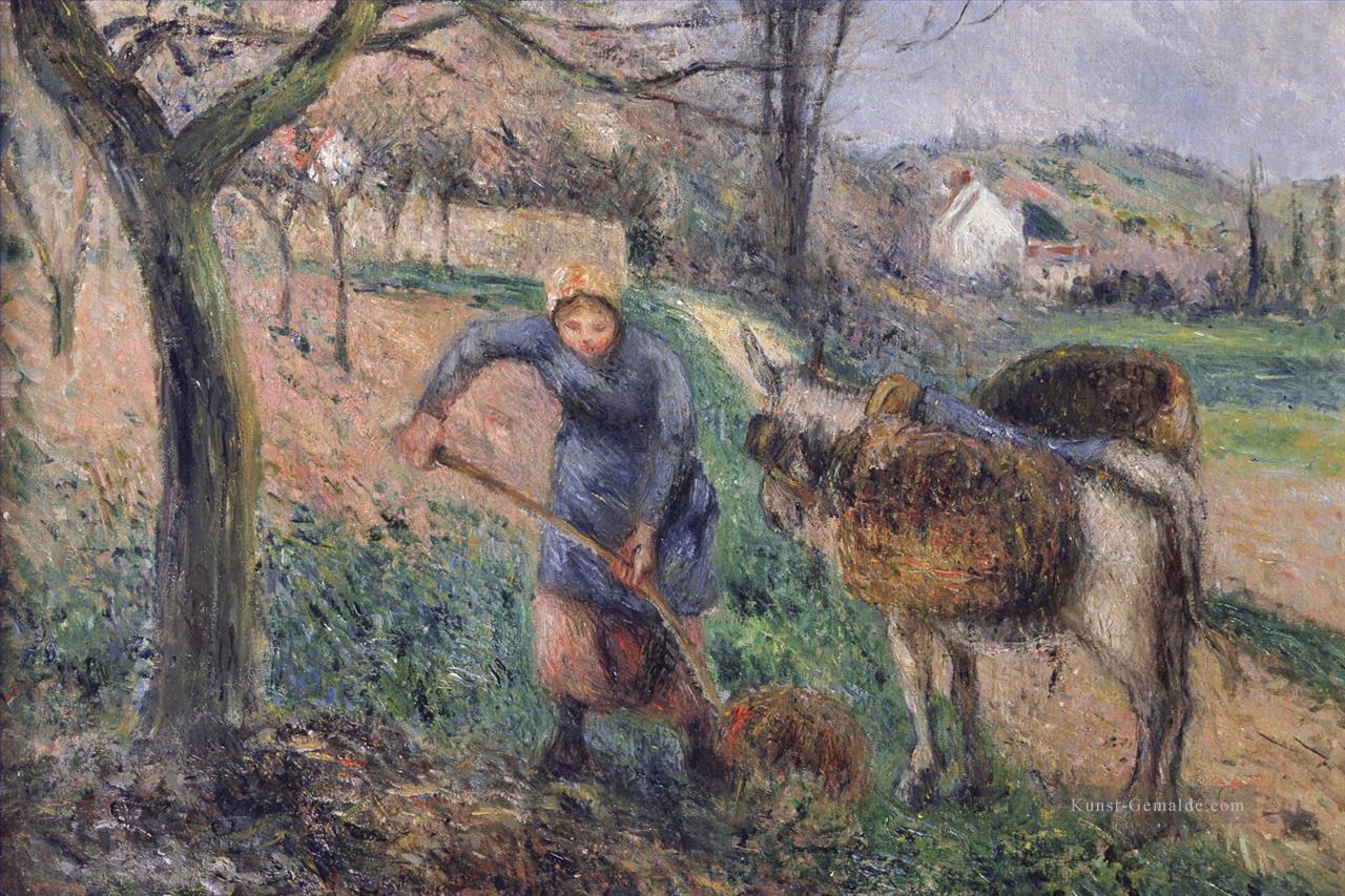 Landschaft mit einem Esel Camille Pissarro Ölgemälde